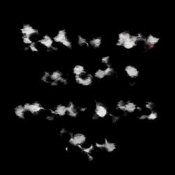 Image: image from natural media extended