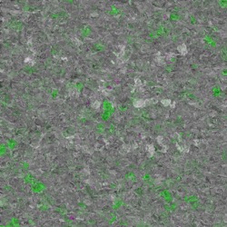 image: image from oils