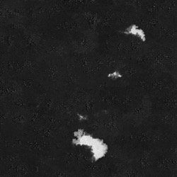 image: image from oils