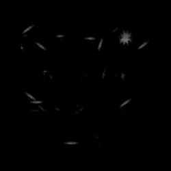 image: image from spray paint (try pressure or tilting the pen)