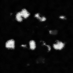 image: image from vector paint styles