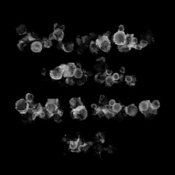 Image: image from watercolours