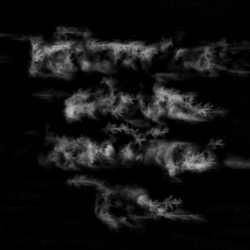 Image: image from watercolours