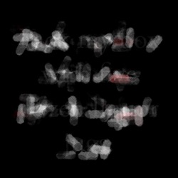 Image: image from watercolours