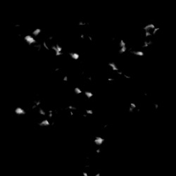 Image: image from watercolours