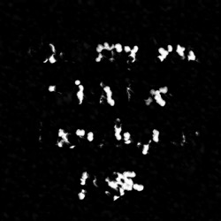 image: image from wets and blends