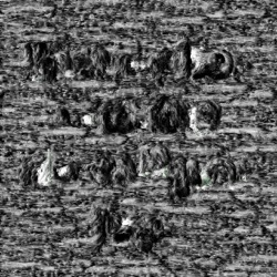 image: image from wets and blends