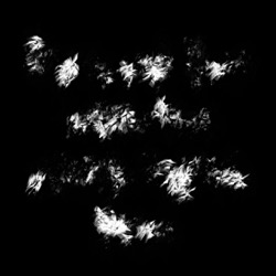 Image: image from wets and blends vector