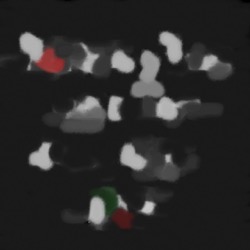 Image: image from wets and blends vector