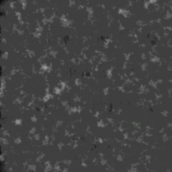 Image: image from wets and blends vector