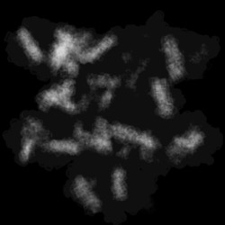 Image: image from wets and blends vector