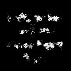 Image: image from wets and blends vector