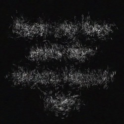 Image: image from wets and blends vector