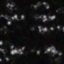 Image: image from wets and blends vector