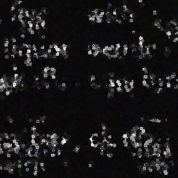 Image: image from wets and blends vector