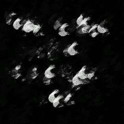 Image: image from wets and blends vector