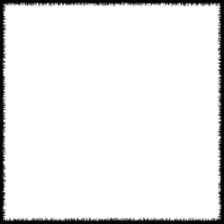 image: image from borders