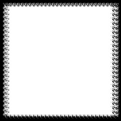 image: image from borders