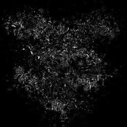 image: image from warp