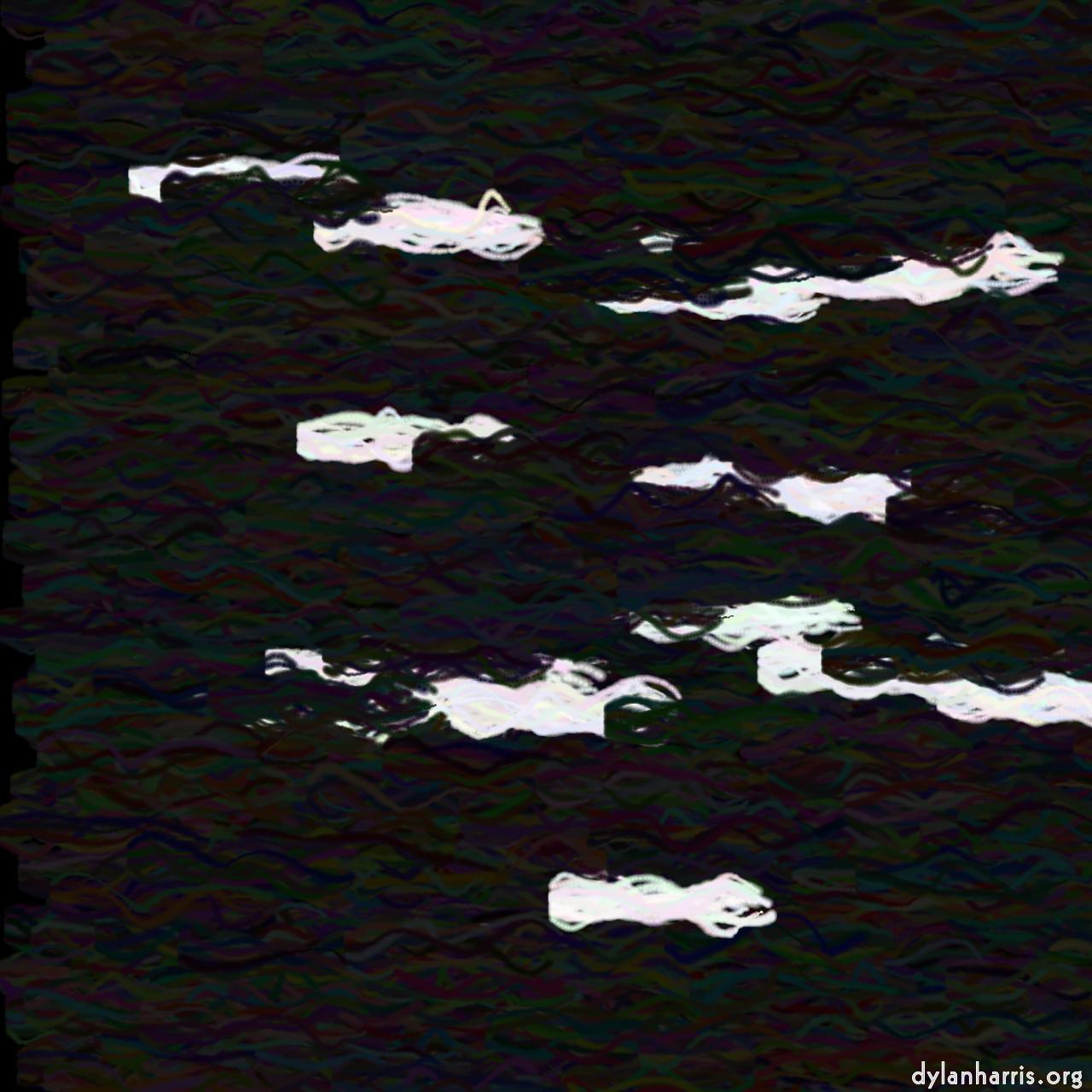 image: tilt examples :: seaweed&nbsp;tilt