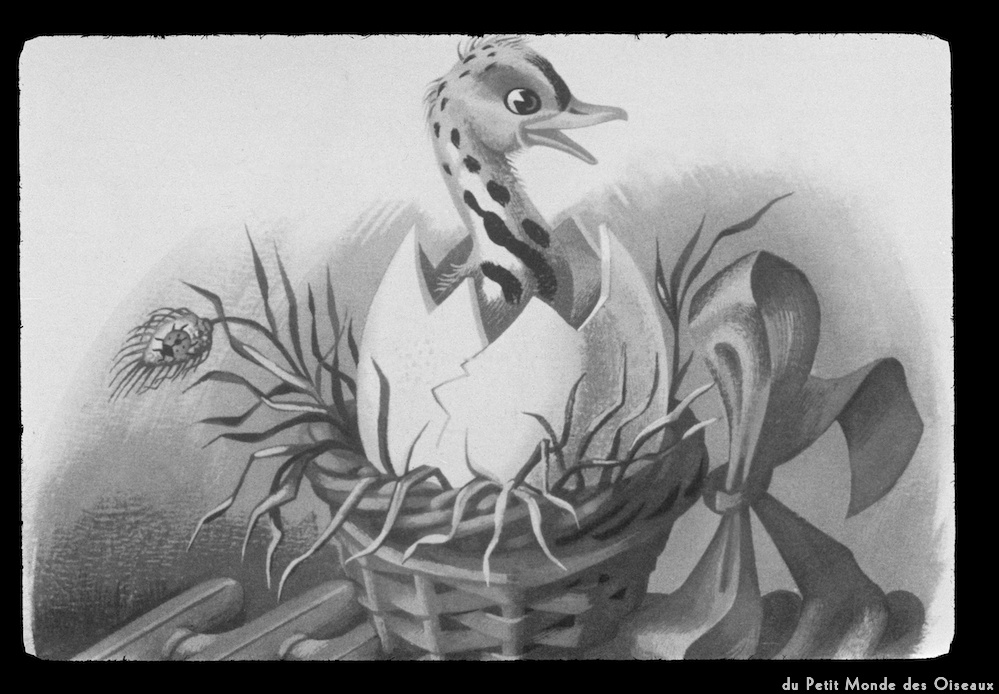 image: This is &lsquo;le petit monde des oiseaux 10&rsquo;.