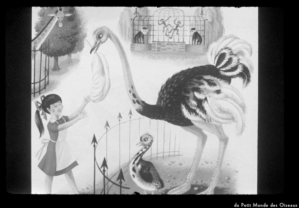 image: Voici &lsquo;le petit monde des oiseaux 11&rsquo;.