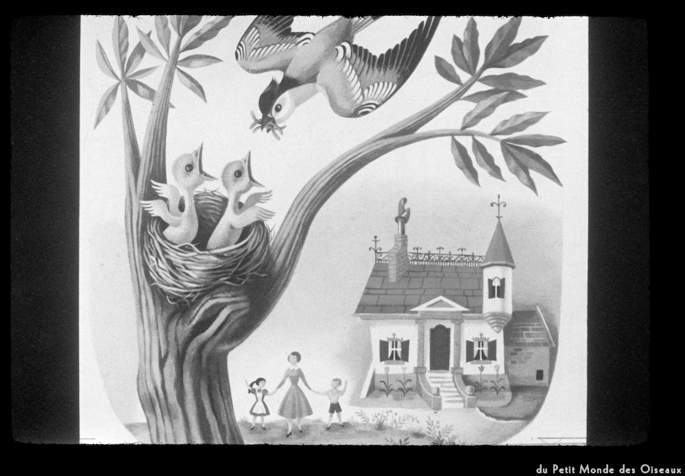 image: Voici &lsquo;le petit monde des oiseaux 12&rsquo;.