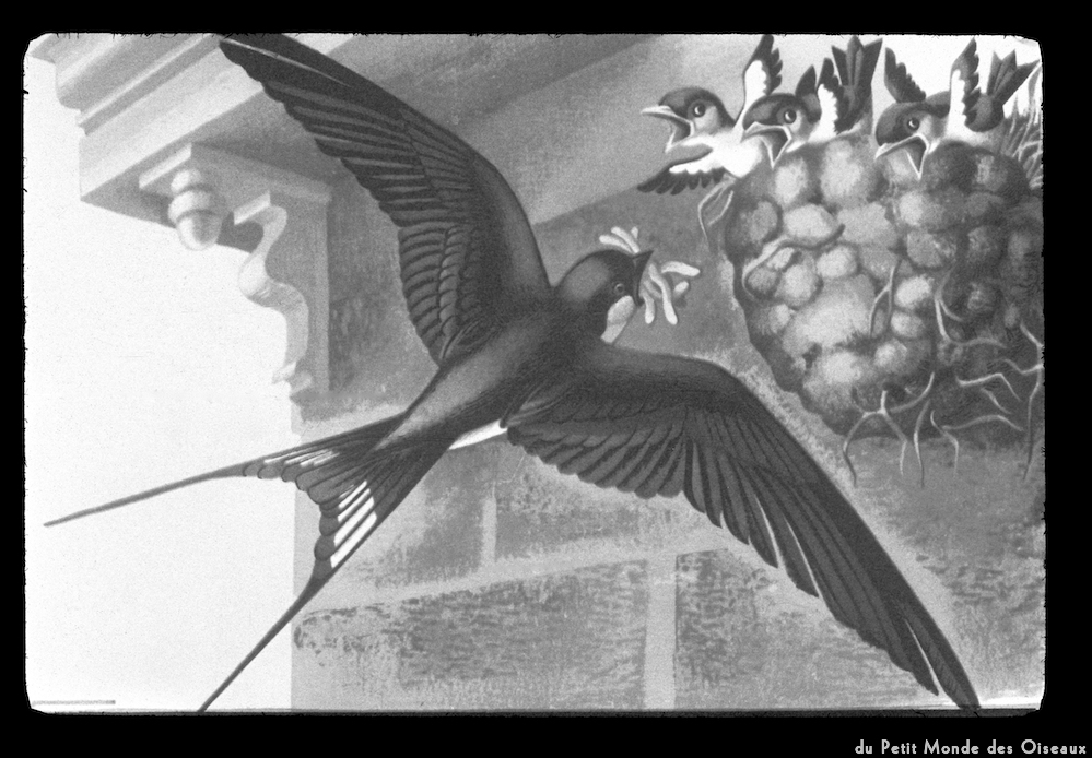 image: This is &lsquo;le petit monde des oiseaux 4&rsquo;.