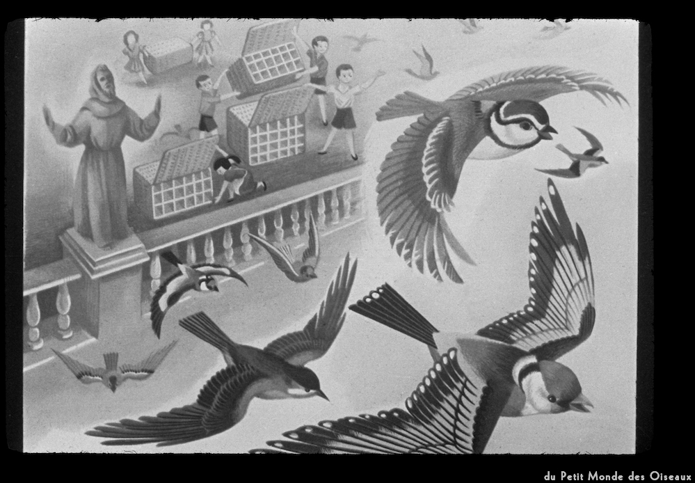 image: This is &lsquo;le petit monde des oiseaux 8&rsquo;.