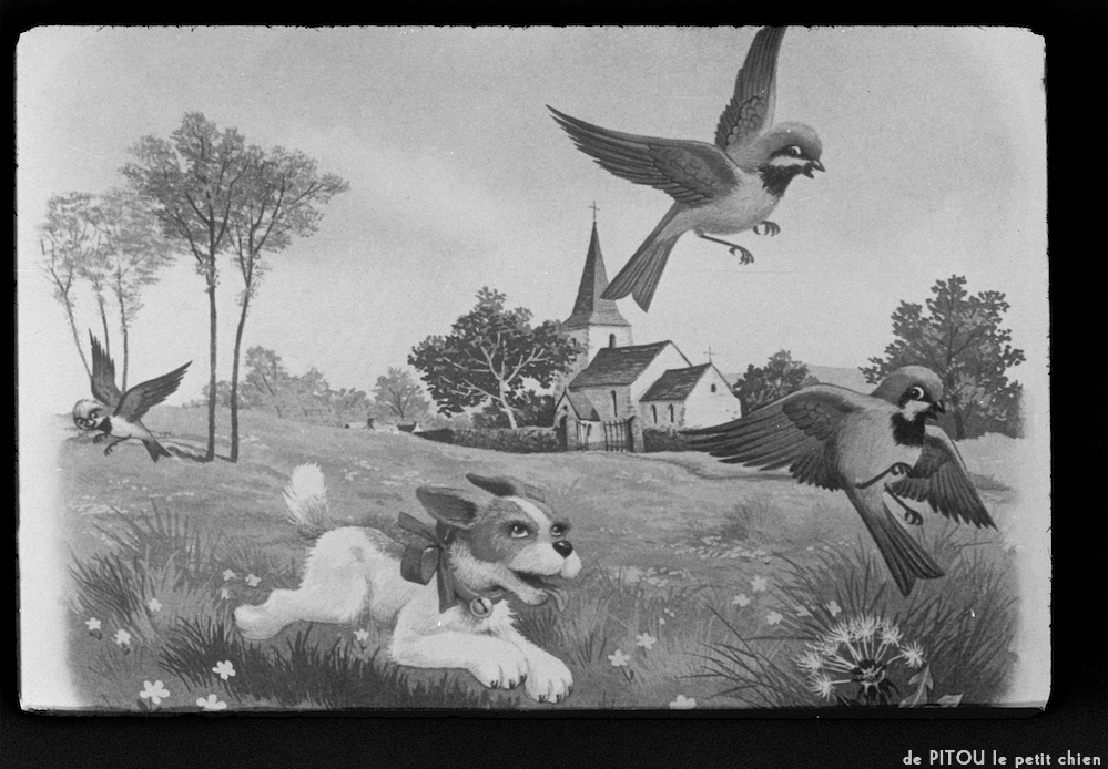 image: This is &lsquo;pitou le petit chien 1&rsquo;.