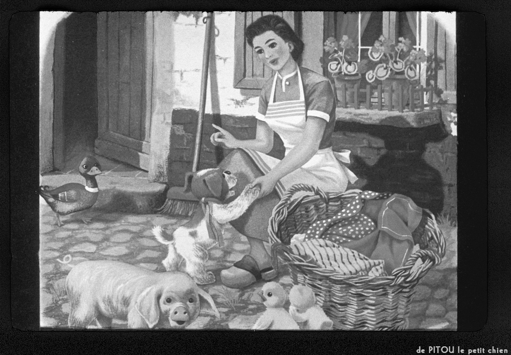 image: This is &lsquo;pitou le petit chien 10&rsquo;.