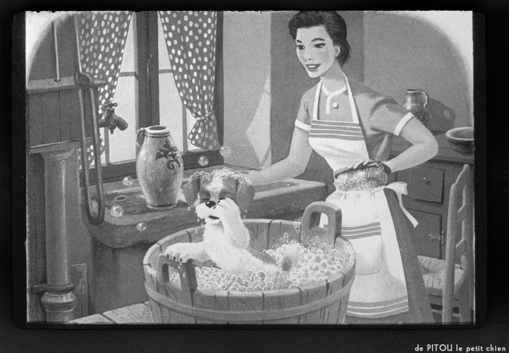 image: This is &lsquo;pitou le petit chien 11&rsquo;.