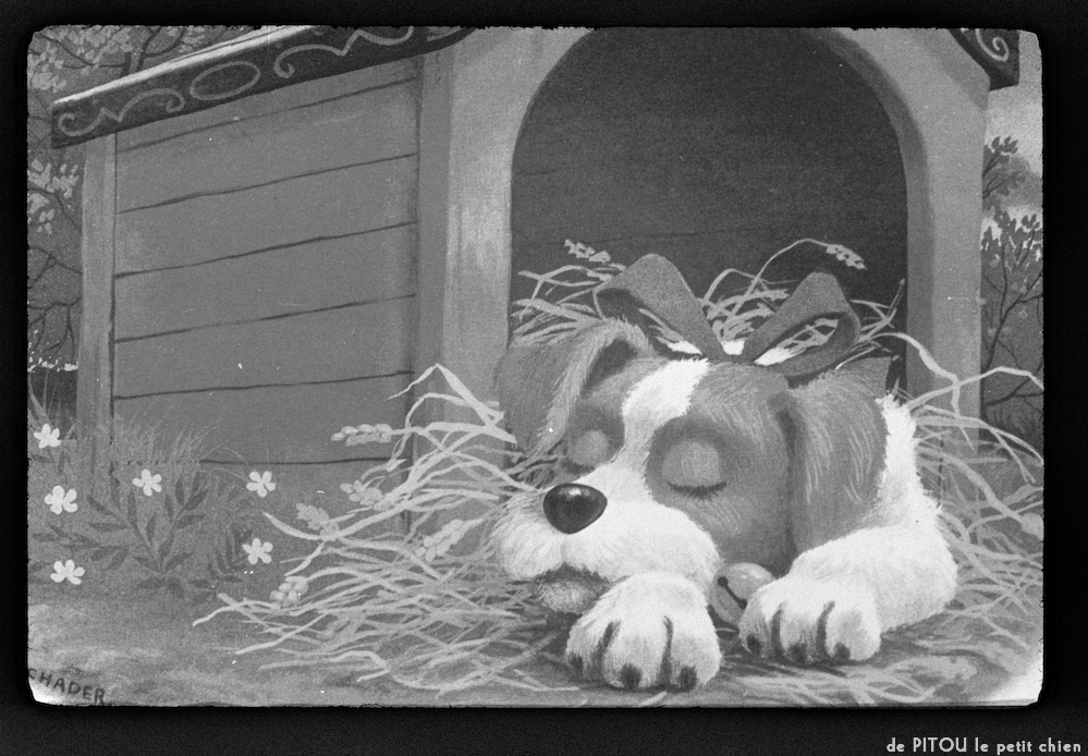 image: This is &lsquo;pitou le petit chien 12&rsquo;.