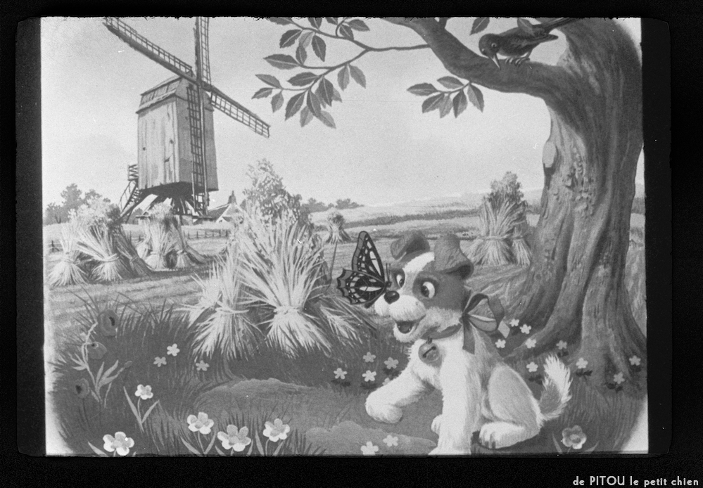 image: This is &lsquo;pitou le petit chien 2&rsquo;.