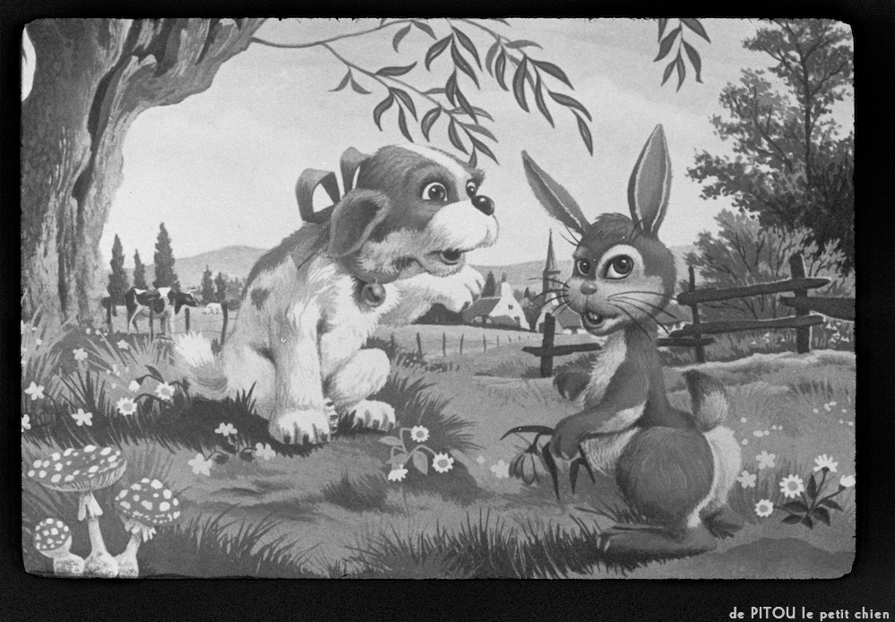 image: This is &lsquo;pitou le petit chien 3&rsquo;.