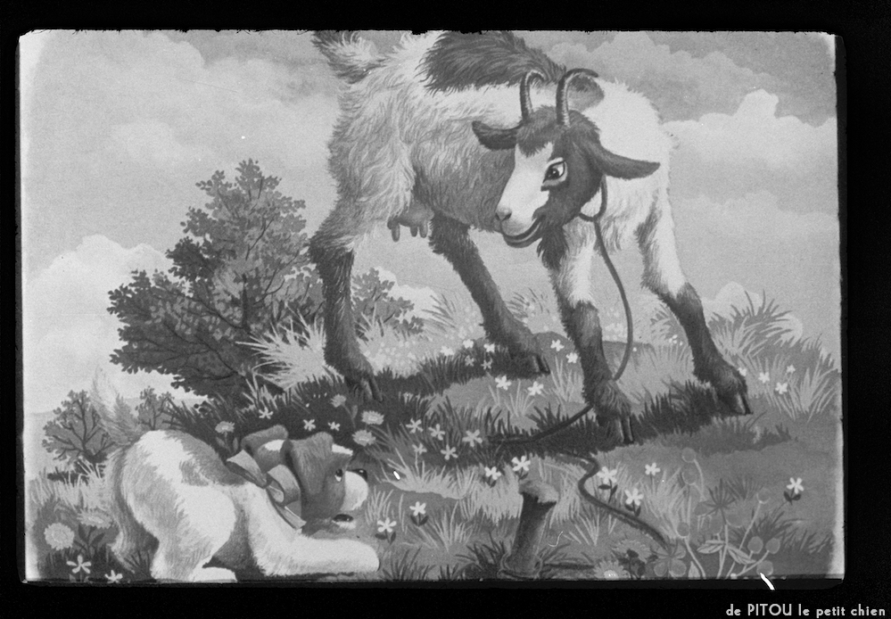 image: This is &lsquo;pitou le petit chien 4&rsquo;.