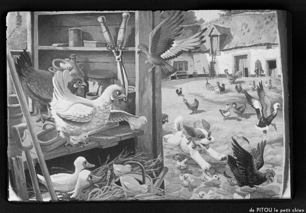 image: This is &lsquo;pitou le petit chien 5&rsquo;.