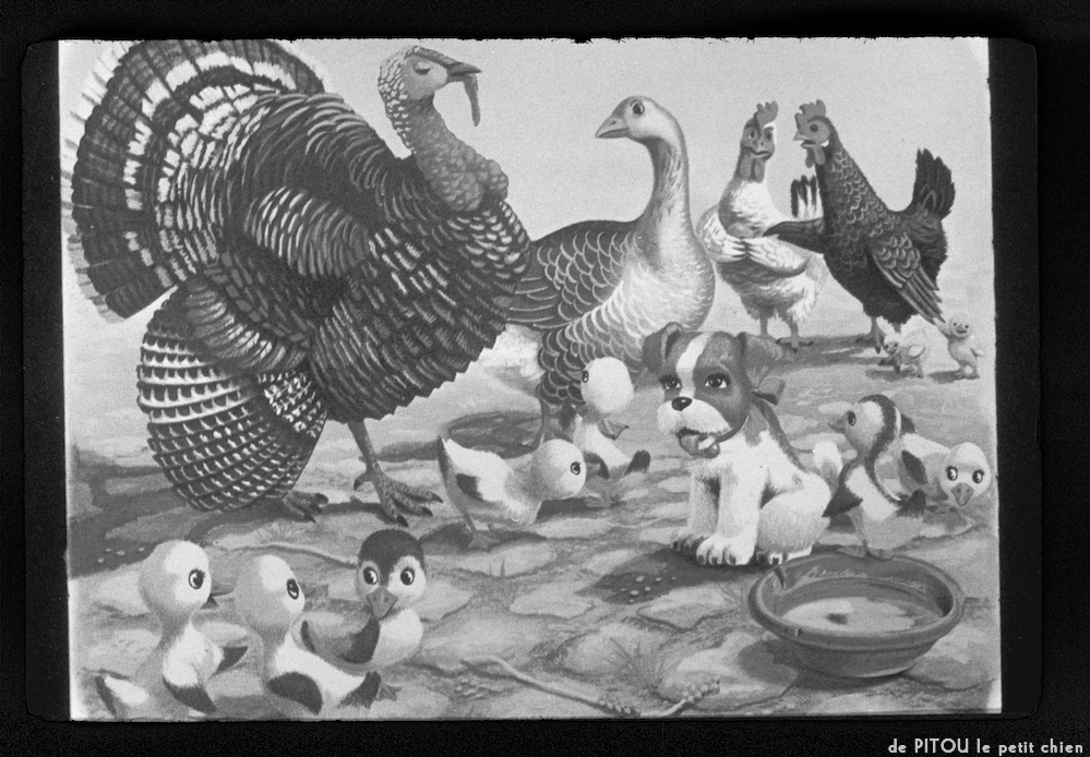 image: This is &lsquo;pitou le petit chien 6&rsquo;.