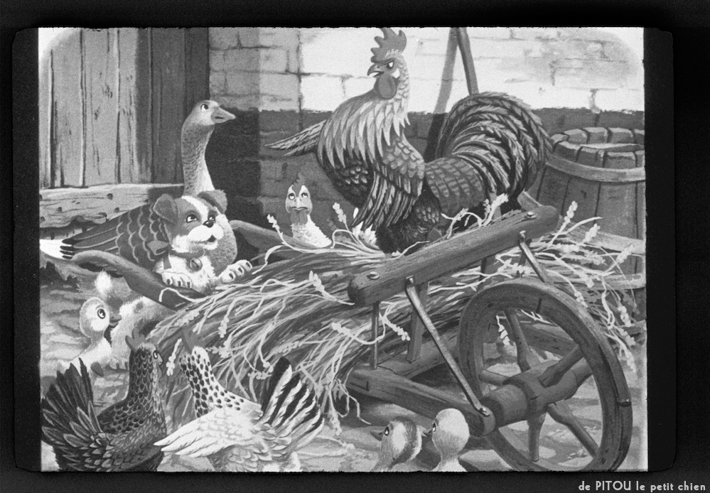 image: This is &lsquo;pitou le petit chien 7&rsquo;.