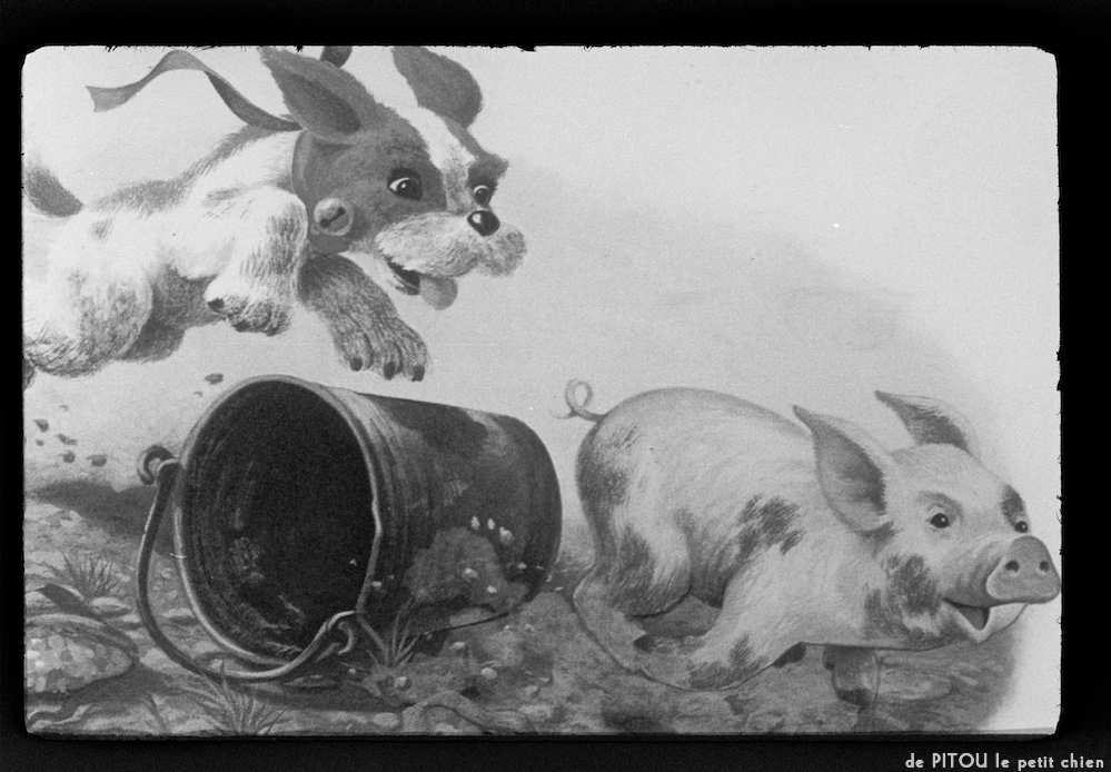 image: This is &lsquo;pitou le petit chien 9&rsquo;.