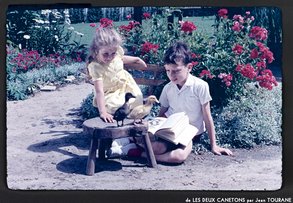 image: This is &lsquo;les deux canetons 12&rsquo;.