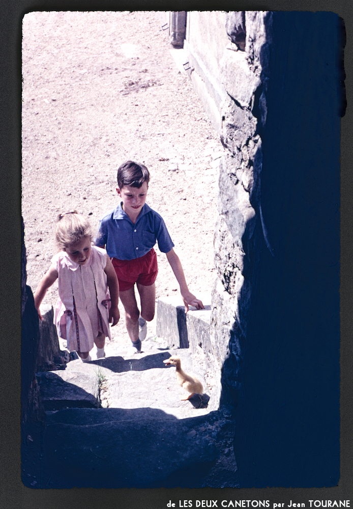 image: This is &lsquo;les deux canetons 3&rsquo;.