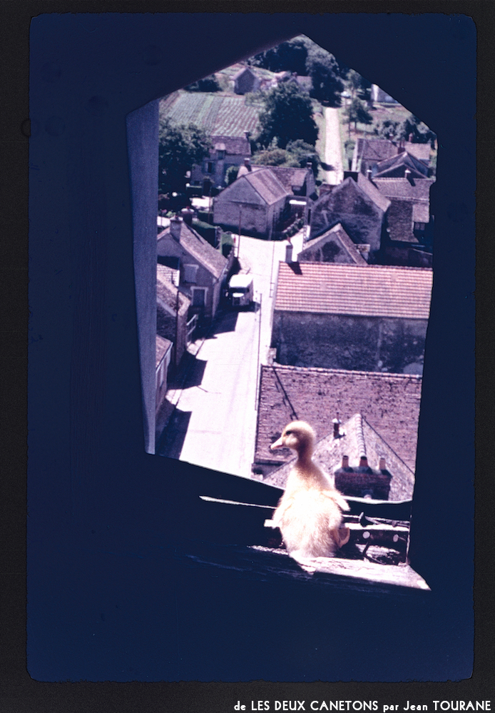 image: This is &lsquo;les deux canetons 4&rsquo;.