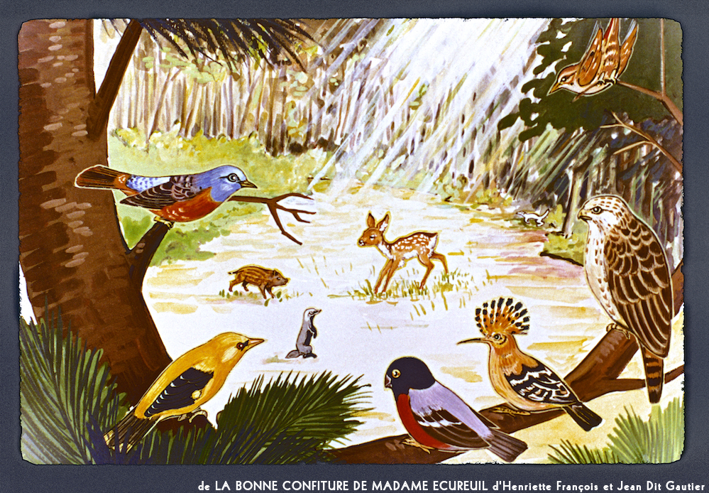 image: This is &lsquo;la bonne confiture de madame ecureuil 6&rsquo;.