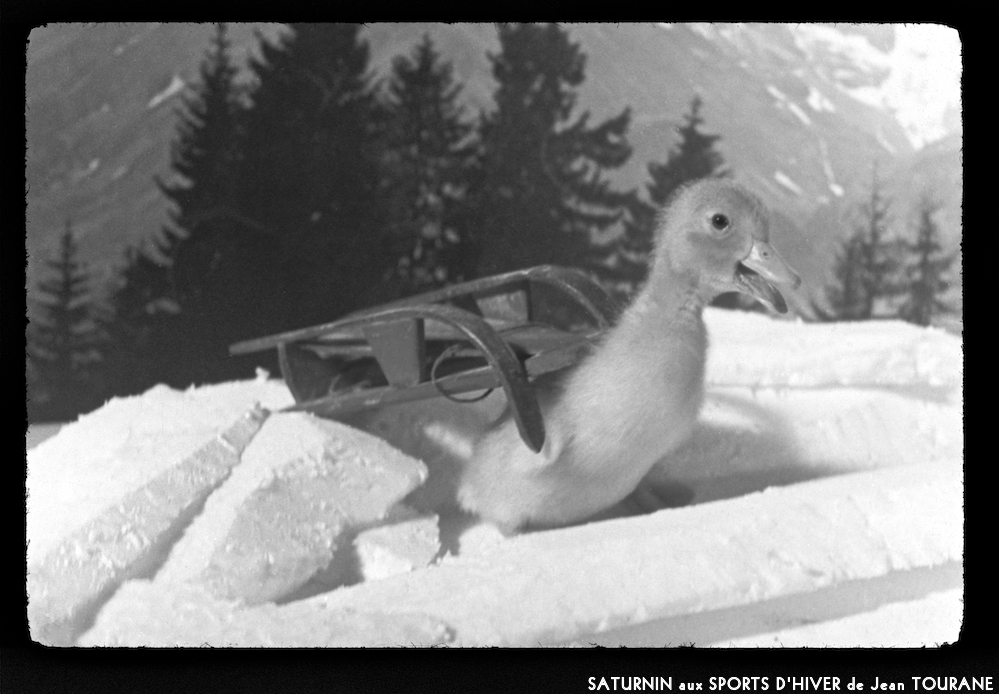 image: This is &lsquo;saturnin aux sports d&rsquo;hiver 11&rsquo;.