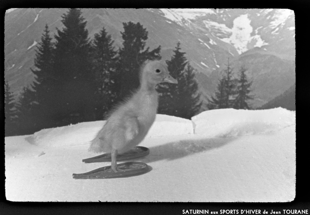 image: This is &lsquo;saturnin aux sports d&rsquo;hiver 12&rsquo;.