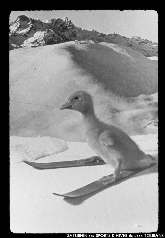 image: This is &lsquo;saturnin aux sports d&rsquo;hiver 2&rsquo;.