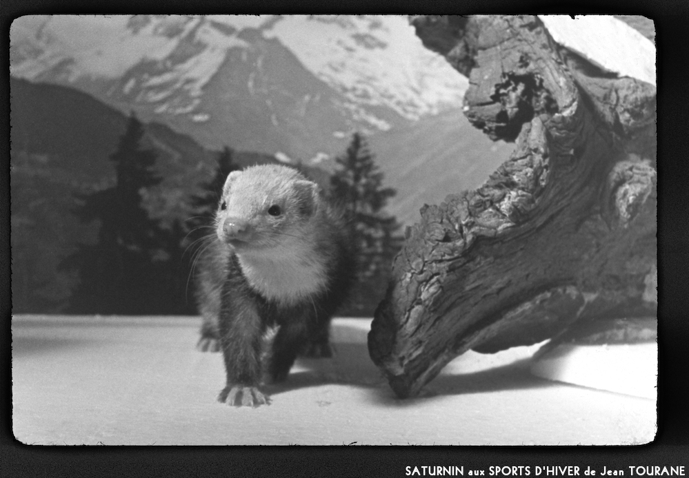 image: This is &lsquo;saturnin aux sports d&rsquo;hiver 3&rsquo;.