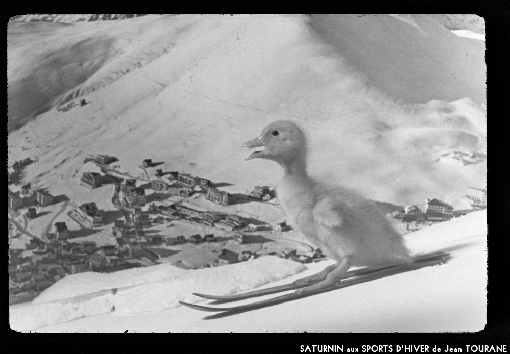 image: This is &lsquo;saturnin aux sports d&rsquo;hiver 4&rsquo;.