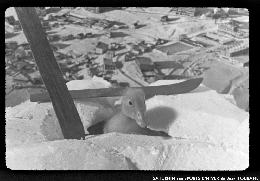 image: This is &lsquo;saturnin aux sports d&rsquo;hiver 5&rsquo;.